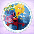 Sesame Street Mylar Balloon 17"