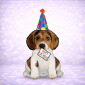 Birthday Puppy Mylar Balloon 41"
